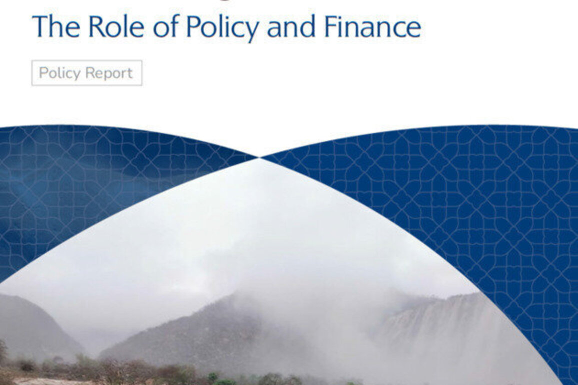 MBRSG unveils key report on governing climate risks in GCC