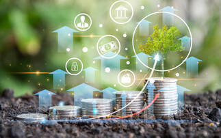 Bamboo Invest launches sustainable MPS range