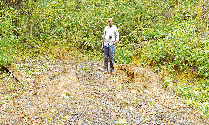Activists want security operatives out of Bugoma Forest Activists want security operatives out of Bugoma Forest