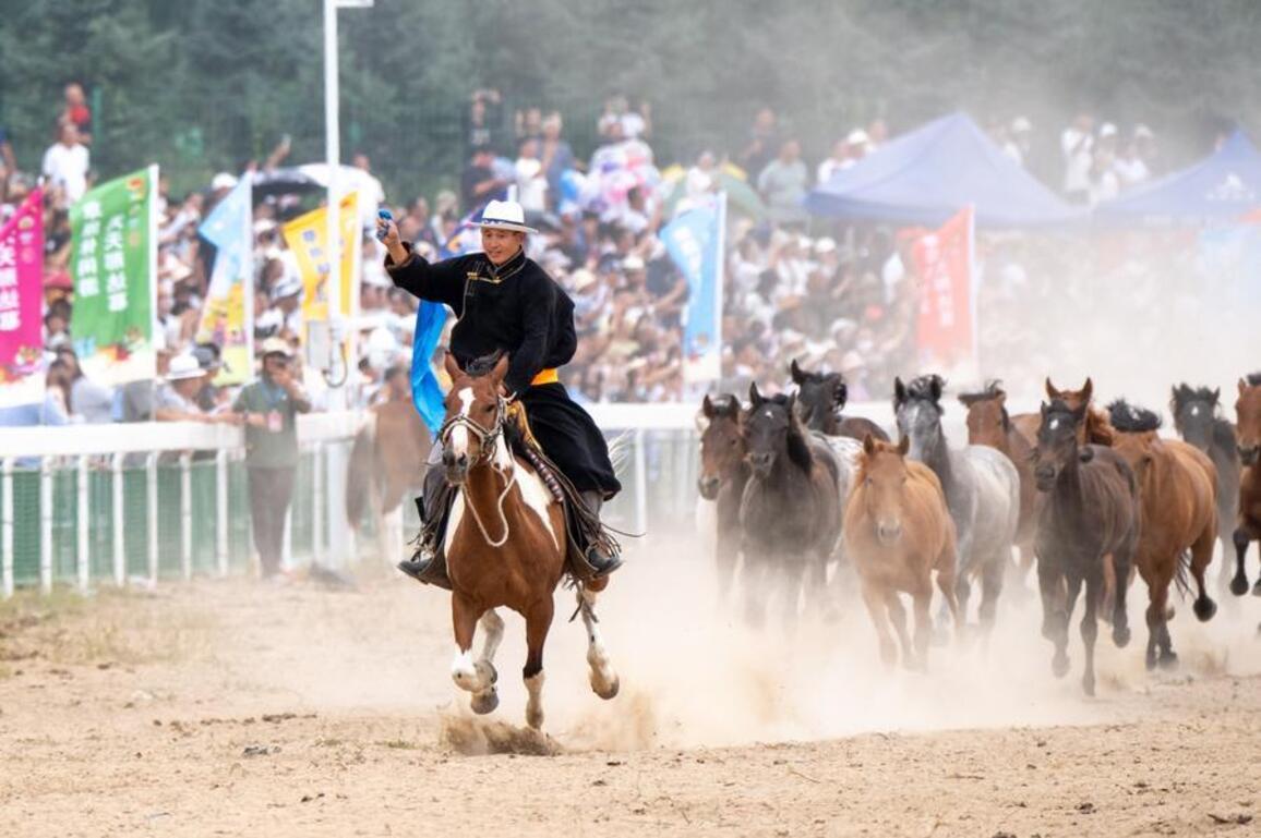 Hooves and hopes -- how northwest China is grooming a new generation for booming equine industry