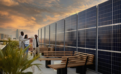 Net Zero Insurance Alliance: As members jump ship, what could it mean for the future of ESG?