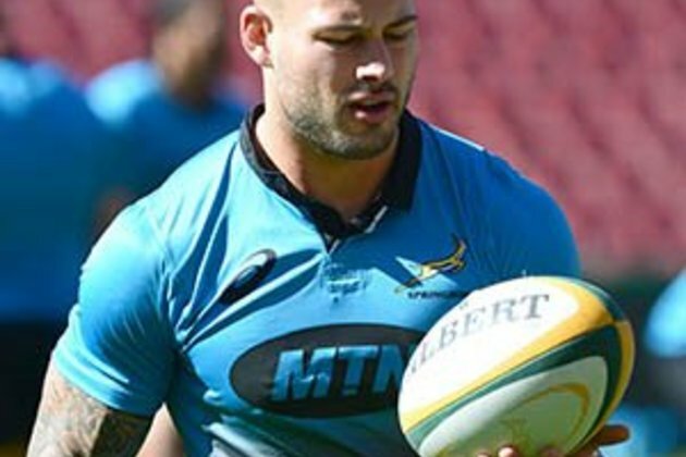 Hougaard: Allister Coetzee comments my lowest low?