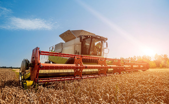 Early harvest helps mitigate drying costs