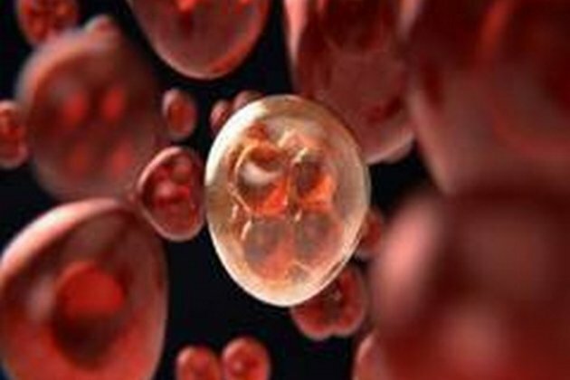 Study finds new keys for unlocking head, neck cancer treatment