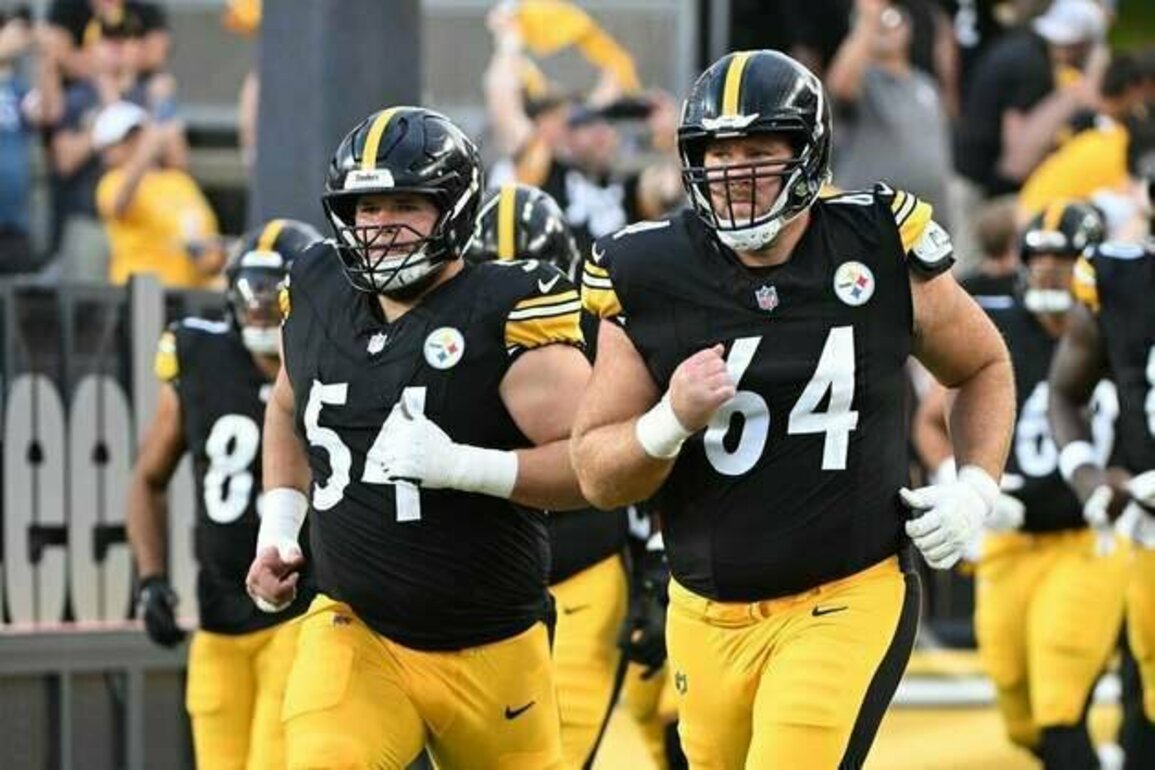 Steelers add S Chuck Clark, G Max Scharping to active roster
