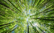 Survey: Nature increasingly seen as strategic priority for investors, despite ESG backlash