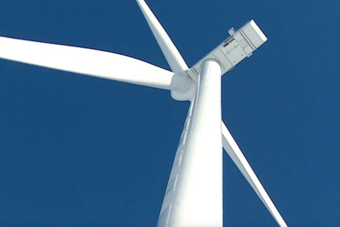 B.C. wildlife group concerned about risk to rainbow trout from wind farm project