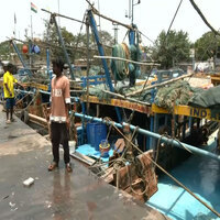 Conservation efforts meet economic concern: Annual 61-day fishing ban begins on East Coast