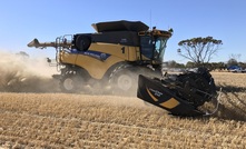  Recent testing has shown that the vertical mill version of the iHSD will kill at least 98 per cent of ryegrass seeds. Picture Josh Giumelli.