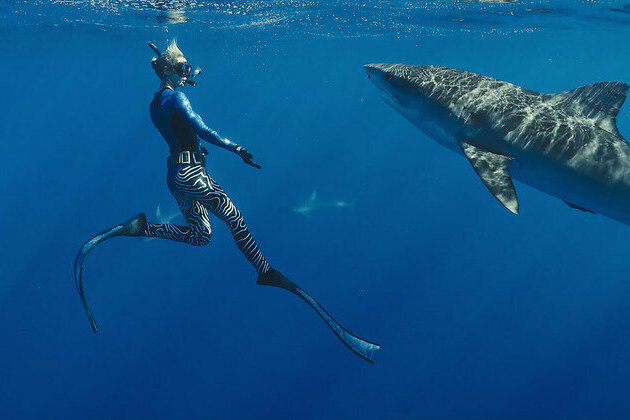 Netflix's Shark Whisperer wants us to think 'sexy conservation' is the way to save sharks - does it have a point?