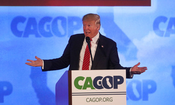 Donald trump1 350x210