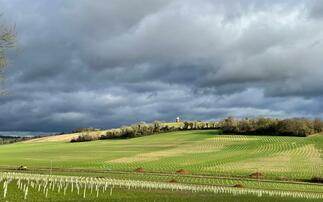 Biodiversity Net Gain: South Downs farmland to host 'one of UK's largest' land banks