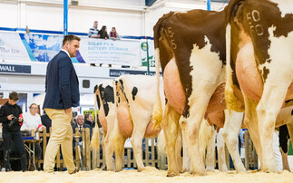 Focusing on the future of dairy at the Dairy Show