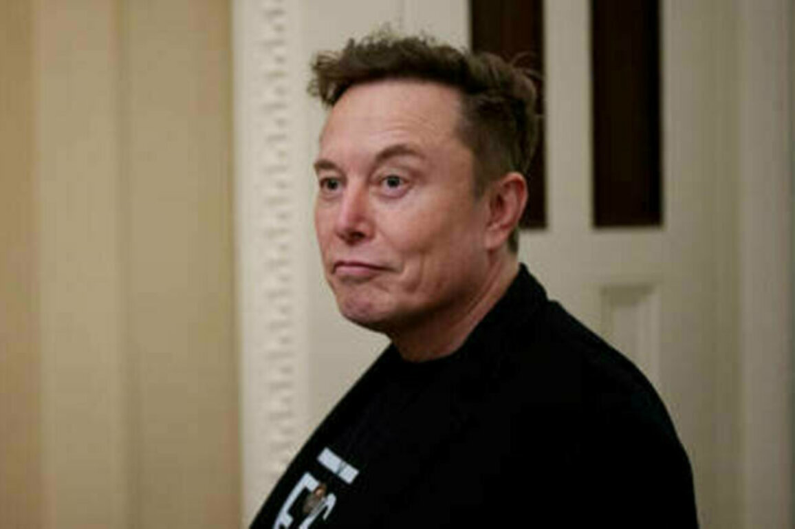 Starlink not allowed in South Africa 'because I'm not black' - Musk