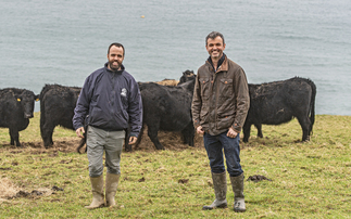 Family farming business thrives on the Lizard Peninsula in Cornwall