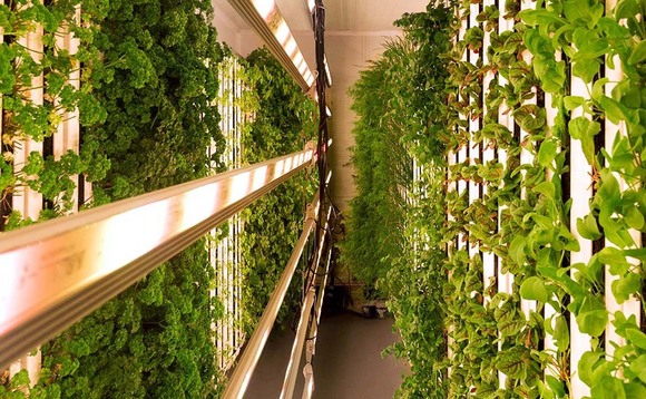 Vertical farming taking weather out of the equation
