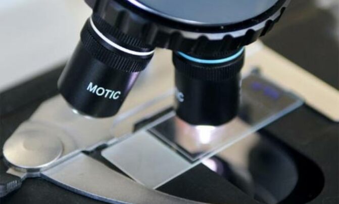 In forensics, 'microbiome' may be the new 'fingerprint' In forensics, 'microbiome' may be the new 'fingerprint'