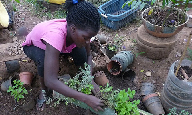 Teach kids to grow their own food Teach kids to grow their own food