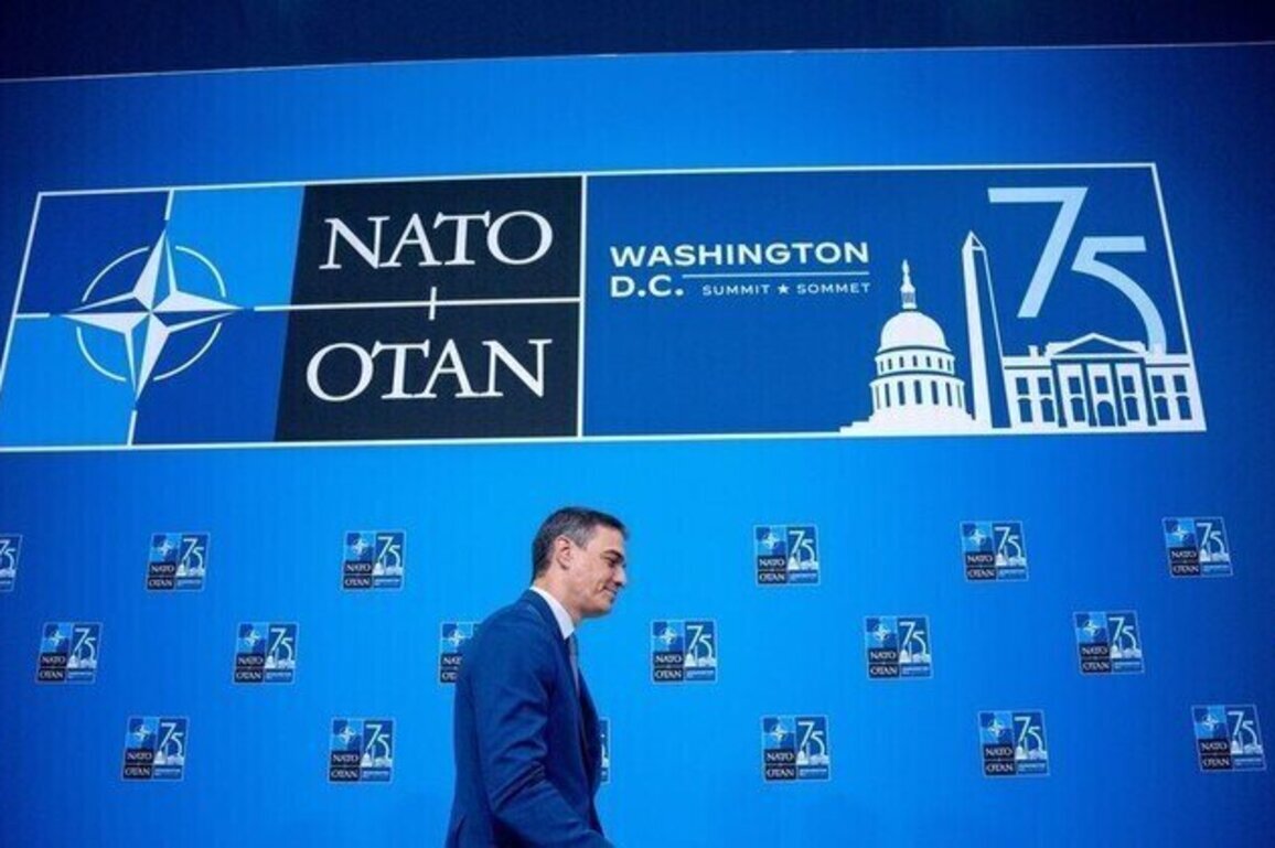 US considers suspending Spain from NATO  Reuters