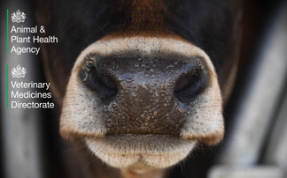 Partner Insight: Sharpening our focus on AMR in livestock: the Private Laboratories Initiative