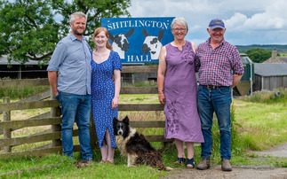Sheep Special: Quality breeding stock the cornerstone of Northumberland family farm