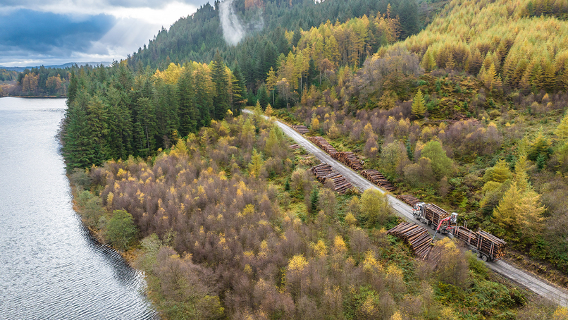 Aerial photo of sustainably-managed productive forests in southern Scotland. Courtesy of BSW Group.