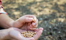 A new $13.6m plant-based protein project aims to help Australian growers supply pulses to suit a lift in demand.