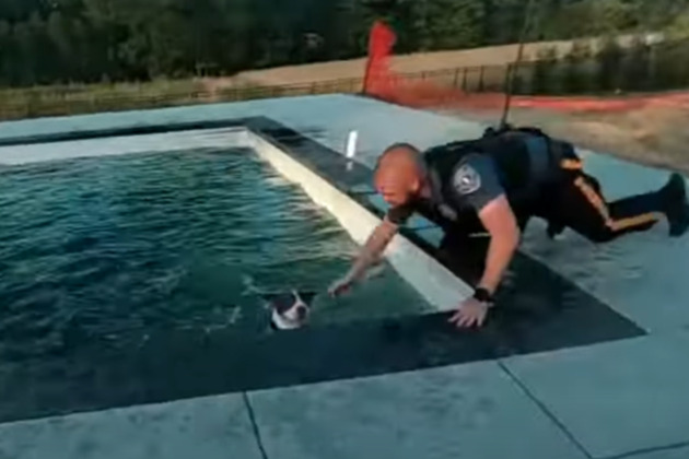 Video- N.J. officers pull drowning lost dog from pool
