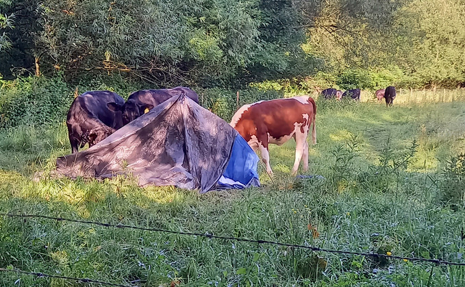 "It would be unreasonable to exclude those who manage the land from exercising any measure of influence over the way that land is used in a form of environmental expropriation implied by the Court of Appeal."