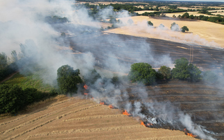 Huge wildfires in farm fields in Essex last year | Credit: iStock