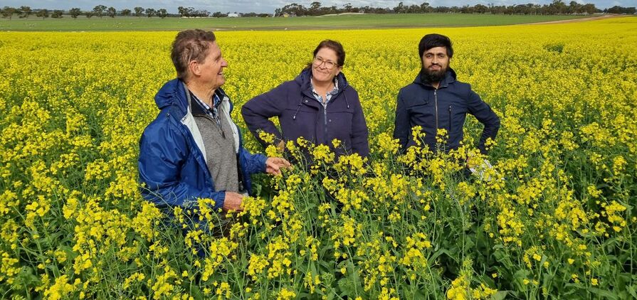 Corrigin Farm Improvement Group’s Executive Officer Joy Valle (centre) stands in a canola crop at the Kweda field site in 2024 with Soil CRC and Murdoch University Emeritus Professor, Dr Richard Bell (left), and Soil CRC researcher Dr Hassan Sardar.