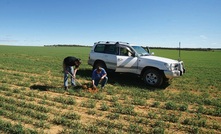 Tips and tools for mapping in VRT crop input and management systems