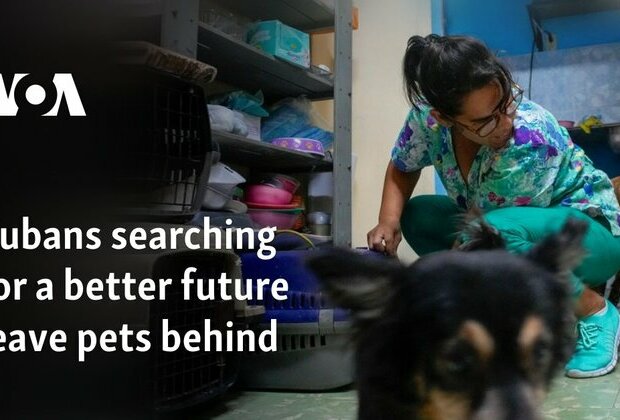 Cubans searching for a better future leave pets behind