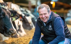 Trialling alternative protein sources in animal feed