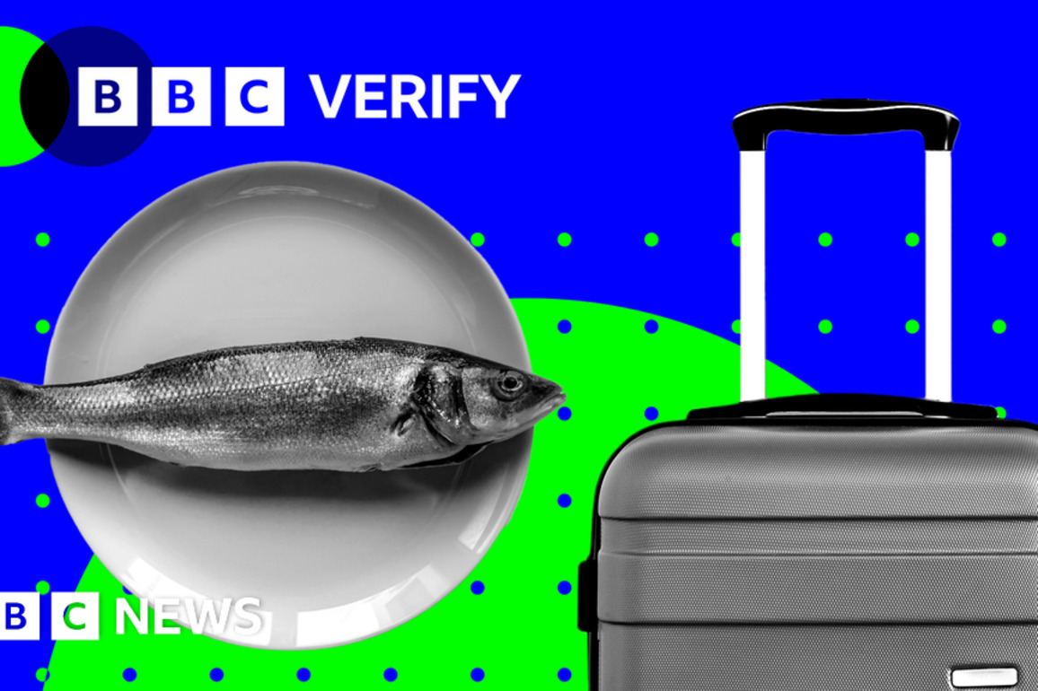 UK-EU summit- Why youth mobility and fishing are key issues