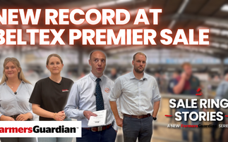 Beltex Premier Sale sees new record of 70,000gns | Sale Ring Stories Ep. 3 