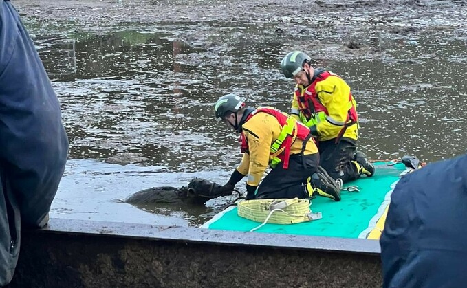 Firefighters from Shropshire had to rescue the calf which had fallen into a slurry pit (Wellington Station)