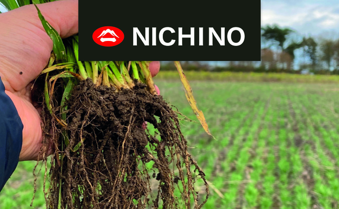 Partner Insight: Grow stronger, healthier Crops – naturally with Newton®