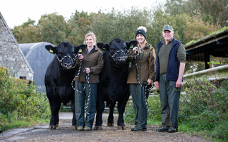 Move to pedigree beef pays off for Scottish farming family   