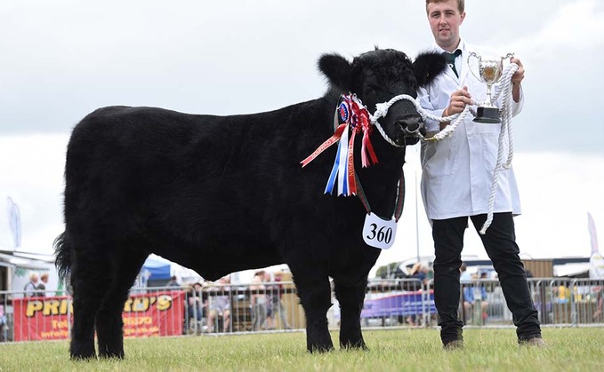 Welsh Black heifer reigns supreme at Pembrokeshire