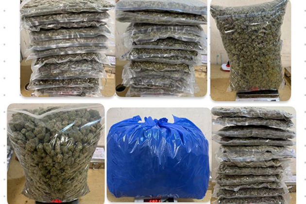 Mumbai Airport Commissionerate seizures suspected NDPS (Hydroponic Weed), weighing 33.355 Kg