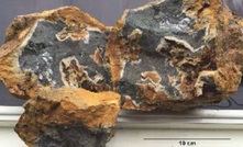  A sulfidised sample from the sinter terrace near the town of Omu in Japan