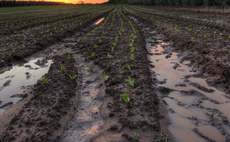 Study: Farmers braced for 'historically poor harvest' following extreme wet winter weather