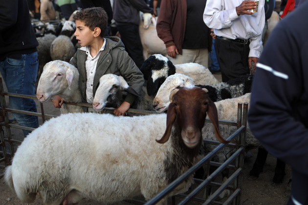 MIDEAST-HEBRON-EID AL-ADHA-MARKET