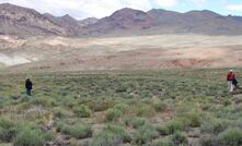  Rhyolite Ridge, Nevada.