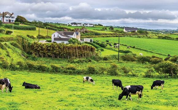Phase out of BPS leaves Irish farmers gleeful at market opportunities