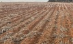 The Soil CRC is working on a new risk management tool for soil.