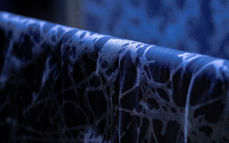 How Sparxell is replacing 19th-century colour chemistry with nature-inspired solutions