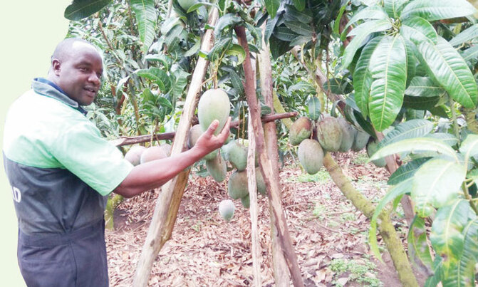 How awards changed farmers' lives How awards changed farmers' lives