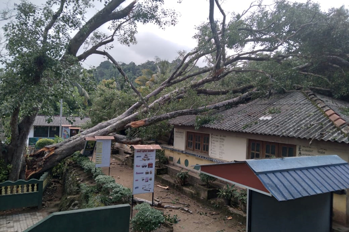 SRI LANKA-BALANGODA-SCHOOL-TREE FALLING-INCIDENT